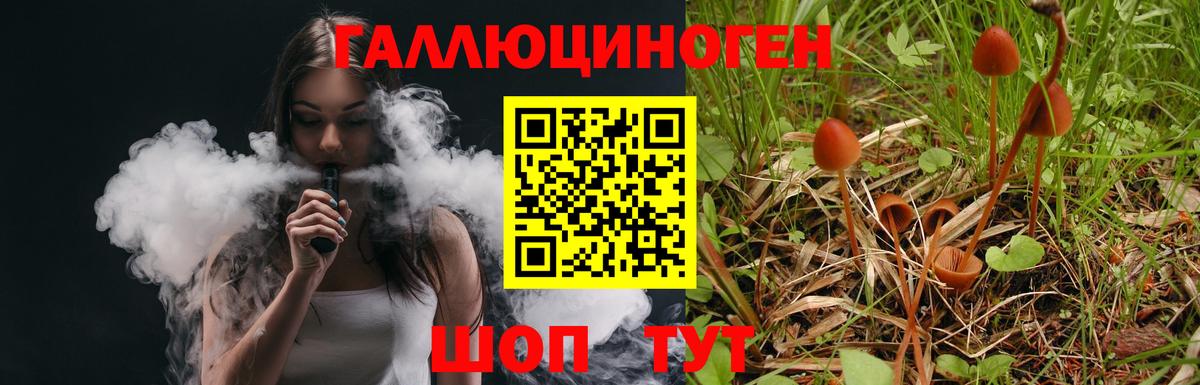 Псилоцибиновые грибы Psilocybe  Псилоцибиновые грибы Psilocybine cubensis  Алатырь  закладка  Вход с VPN 